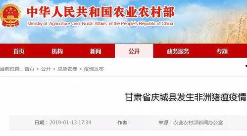 甘肃大掌柜爆料案件最新消息,案情揭秘与进展追踪  第3张